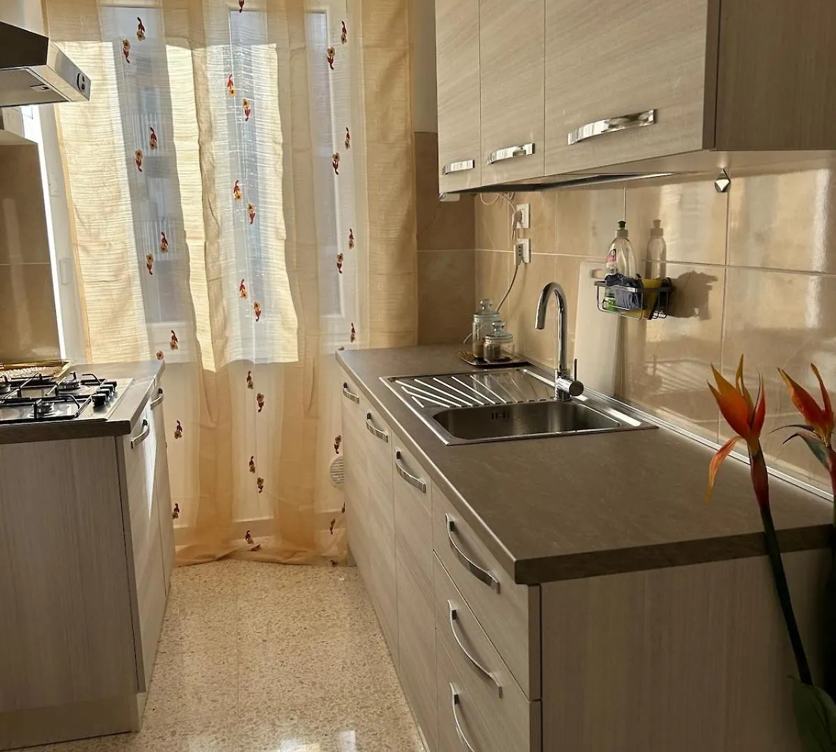 Guest house Tiberdom Hotel Rome Italy